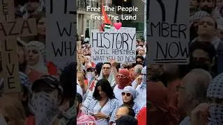 Free The People | Pro Palestine 🇵🇸 Rally | Toronto | Canada | June 8, 2024 #shorts #palestine