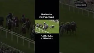 Ebor Handicap - York - Ethical Diamond #horseracingtips#horseracing #racingtips#majordickiesfreetips