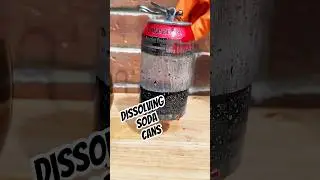 Chemistry Dissolves a Soda Can?!