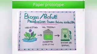 Biogas/biofuel production from Salvinia molesta(Water hyacinth)