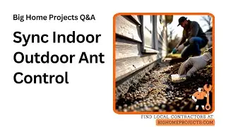 Perimeter Bait Sync: Indoor Outdoor Ant Strategy