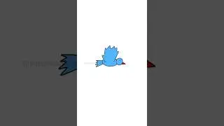 Blue Bird #creative #animation #bluebird #short