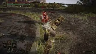 he did suffer | eldening ring