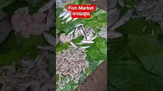 Fish Market 🐟 ବାଲେଶ୍ଵର| Biggest Fish Market of Odisha #fishmarket #odisha #seafood