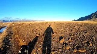Weekend run #Iceland #running #winterarc #sunny #virtualrun #goodboy