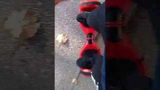 HOVERBOARD PRIMA PROVA