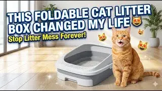 This Foldable Cat Litter Box CHANGED My Life 😻 Stop Litter Mess Forever! Foldable Cat Litter Box