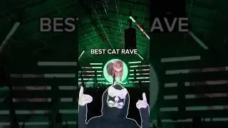 BEST CAT RAVE 😻 #oiia #music #dj #performance #rave #electronicmusic #events #festival #shorts