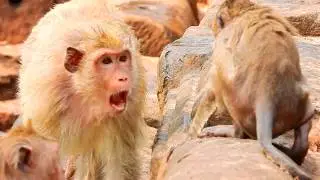 Briget Angry Until Fight With Spring So Much After Swim