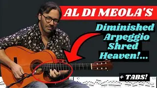 When A GUITARIST's RHYTHM Is So TIGHT, It BLOWS YOUR MIND!!! AL DI MEOLA