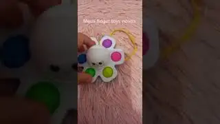 Meus fidget toys novos!