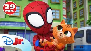 MARVEL SPIDEY Y SU SUPEREQUIPO: Haz como Spidey y ayuda a los animales 🐱 | @DisneyJuniorES