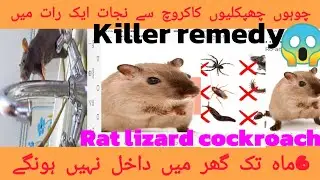 HOME MADE POISON KILLER REMEDY 4 RAT,COCKROACH,LIZARD,MOSQUITO,POWERFULL INSECTS DAILY ROUTENE VLOG.