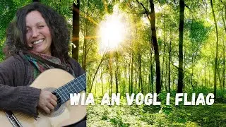 Herzton - Medicine Music - Wia an Vogl I fliag