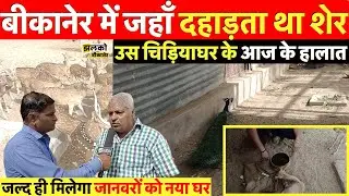 बीकानेर के खूबसूरत चिड़ियाघर के हालात जहाँ दहाड़ता था जंगल का राजा शेर ~ Bikaner News