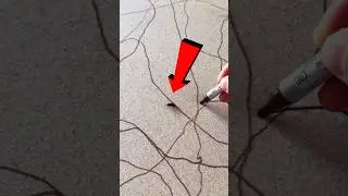 This Insect Helps a Painter to Make Arts😍❤#shorts #viral #popular #trending #viralvideos #education