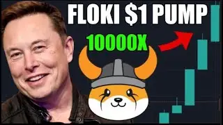 ПОДТВЕРЖДЕНА МОНЕТА FLOKI ЗА 1 ДОЛЛАР! ИЛОН МАСК КРИЧИТ О МОНЕТЕ FLOKI-ИНУ!