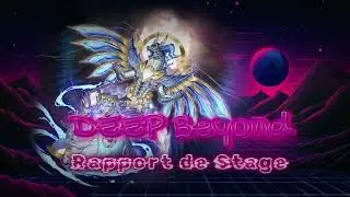 DeepBeyond - Rapport de Stage