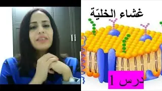غشاء الخلية (درس 1) - المبنى والوظيفة