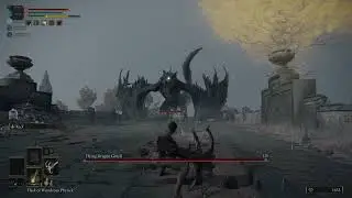 Monster Hunter Players When They Play Elden ring