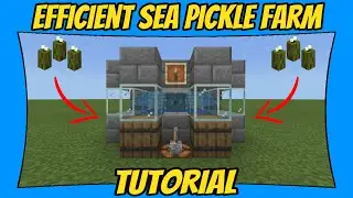 How To Build An Efficient Sea Pickle Farm In Minecraft Bedrock Edition | #Minecraft #1man1game
