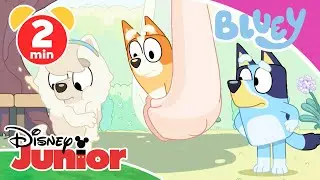 🦋 Bluey - Clip: Schmetterling | Disney Junior