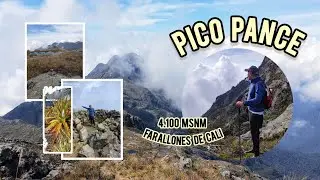 PICO PANCE 