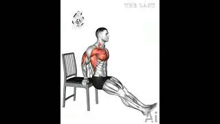Strengthen Your Entire Body at Home with Simple Push Exercises