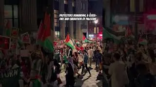 Protestors calling for a Free Palestine March through New York City.