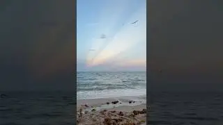 Beautiful Atlantic Ocean#Ocean#usa#nature#america#Miami