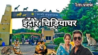 Kamla Nehru Prani Sangrahalaya | Indore Zoo Vlog | इंदौर चिड़ियाघर | Indore ka chidiyaghar#indorezoo