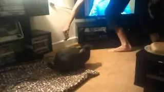 Rabbit attacks man