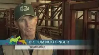 VetsOnCall - Dr. Noffsinger cures cattle suffering, ensures food safety