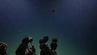ROV Hercules Dive NA121 H1817 2020 09 27 09 51 09 752 UTC 2