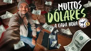 Meu trabalho pela internet ganhando em d&oacute;lar