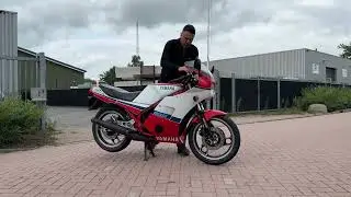 Yamaha RD350 YPVS 1987 for sale