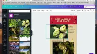 Info Graphics with Canva