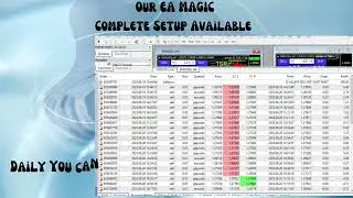 Forex Expert Advisor - Earn Money Daily