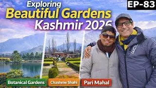 Famous Mughal Gardens of Srinagar 2026 | Botanical Garden, Chashme Shahi & Pari Mahal | Kashmir Vlog