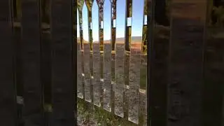 🤔 palissade en miroir effet transparent trop cool #astuce #jardin #pov #vlog #nature #renovation