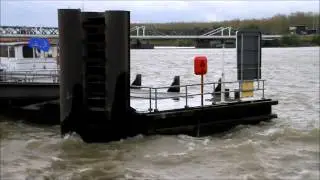 Onstuimige Schelde te Temse