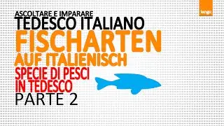 Italienischkurs  Corso tedesco italiano - Fischarten - specie di pesci - parte 2