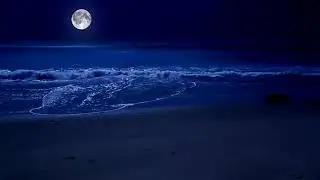 Sea All Night With The Full Moon And Relaxing Sparkling Waves