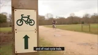 Cycling in the New Forest