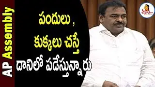 Janasena MLA Rapaka Varaprasad Speech in AP Assembly 2019 | AP Assembly Winter Sessions | Vanitha TV
