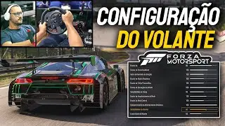 DICAS E CONFIGURAÇÕES INICIAIS DO VOLANTE NO FORZA MOTORSPORT