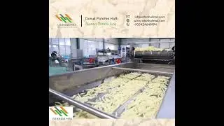 İstanbulmak Donuk Patates Hattı