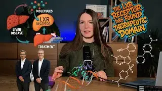Инверсионные агонисты LXR: новый путь в терапии гипертриглицеридемии и NAFLD/NASH 🔬