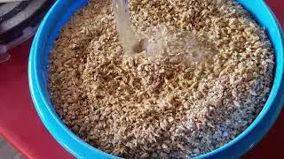 MiniBrew - Wiltenburg Lager / Kompletter Brauvorgang mit Reinigung