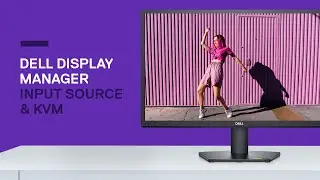 Dell Display Manager | Источник входного сигнала и KVM